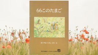 66このたまご