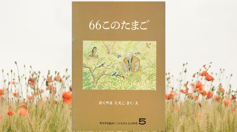 66このたまご