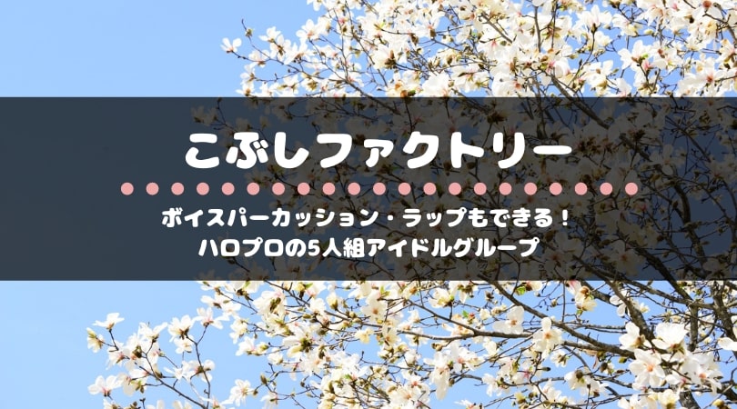 【解散発表】こぶしファクトリーは、ボイパもラップもできるスーパーアイドル！メンバーやおすすめの曲を紹...